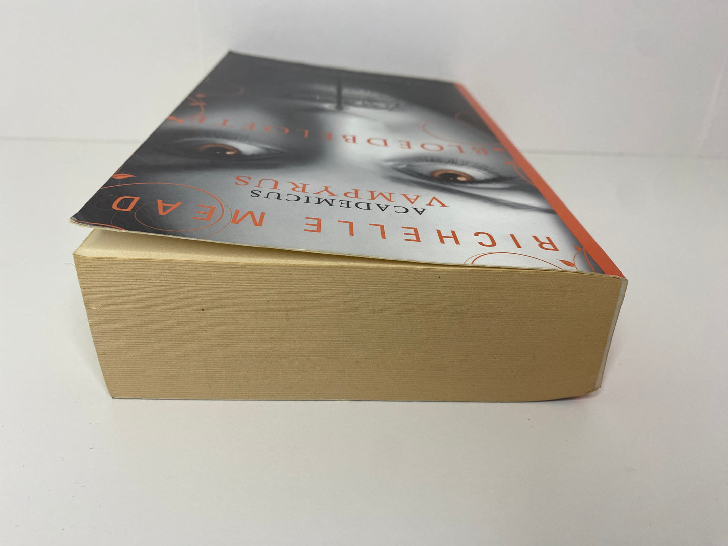 Bloedbelofte - Richelle Mead - Paperback