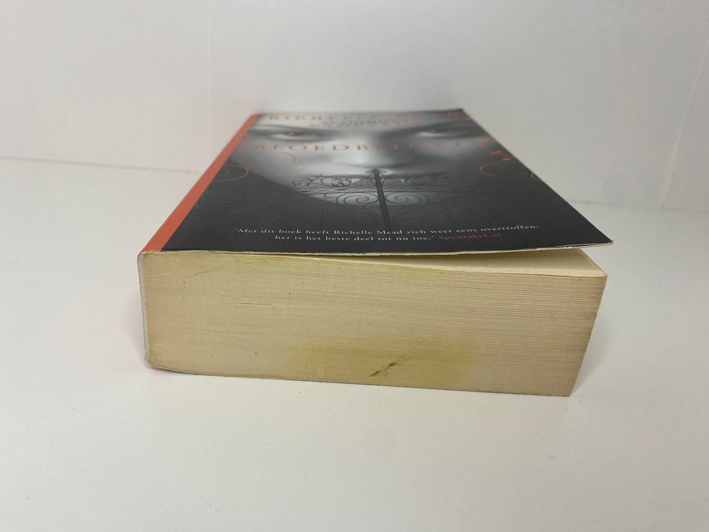 Bloedbelofte - Richelle Mead - Paperback
