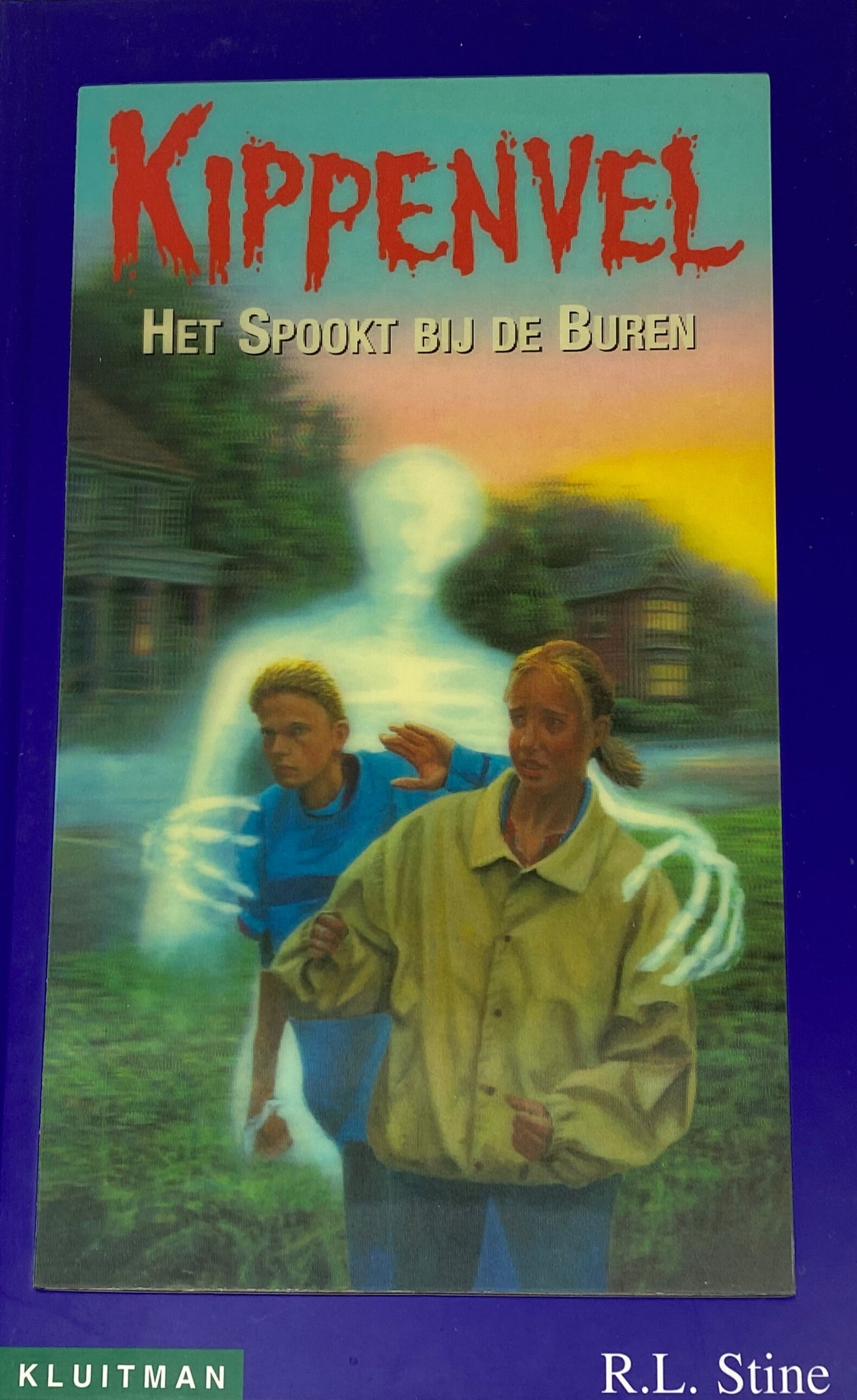 Het Spookt Bij De Buren - NL - R.L. Stine - Hardcover