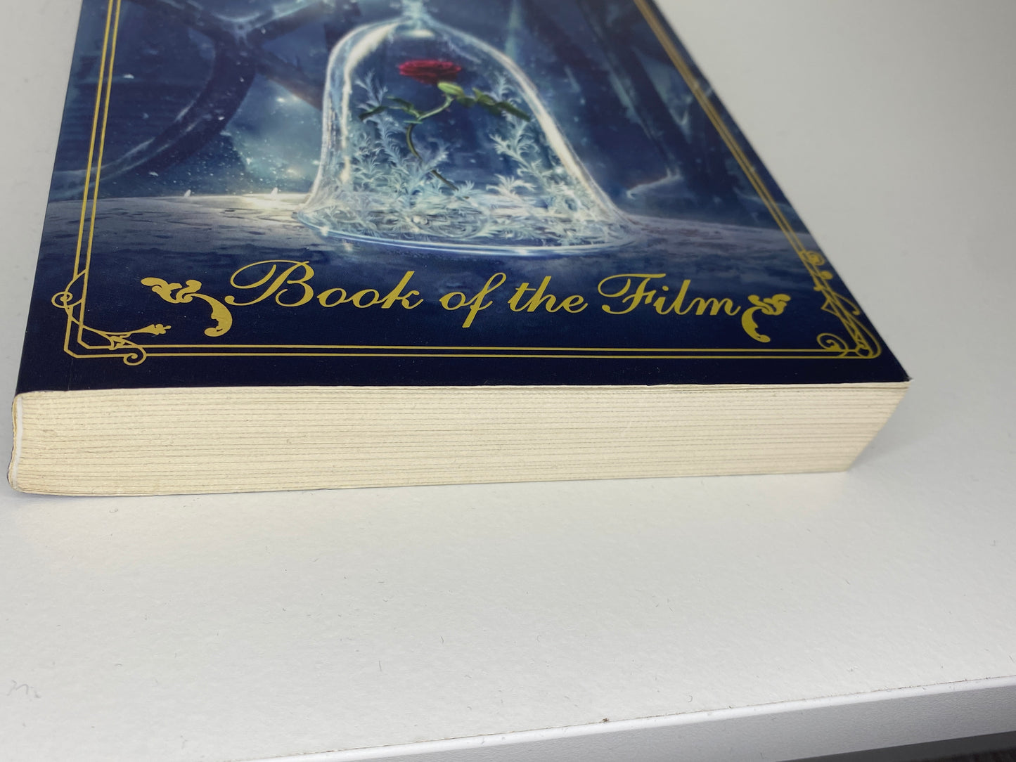 Beauty and the Beast, book of the film, adapted by  Elizabeth Rudnik, ISBN: 9781474852470 bottom