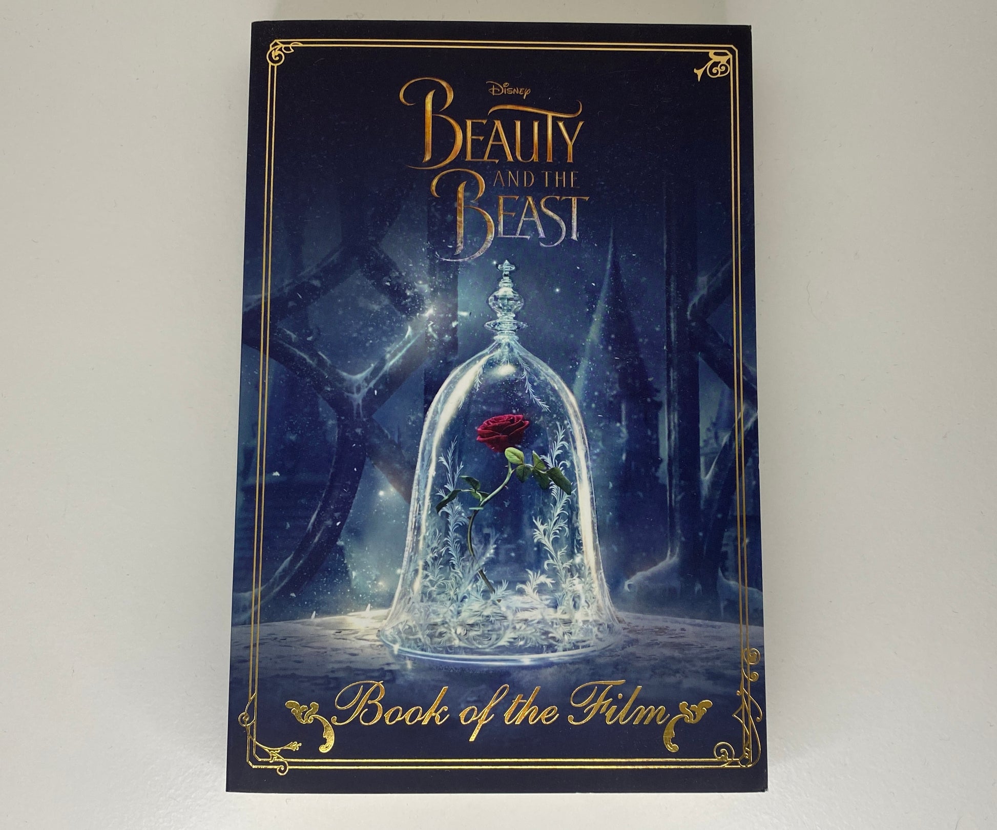 Beauty and the Beast, book of the film, adapted by  Elizabeth Rudnik, ISBN: 9781474852470 front