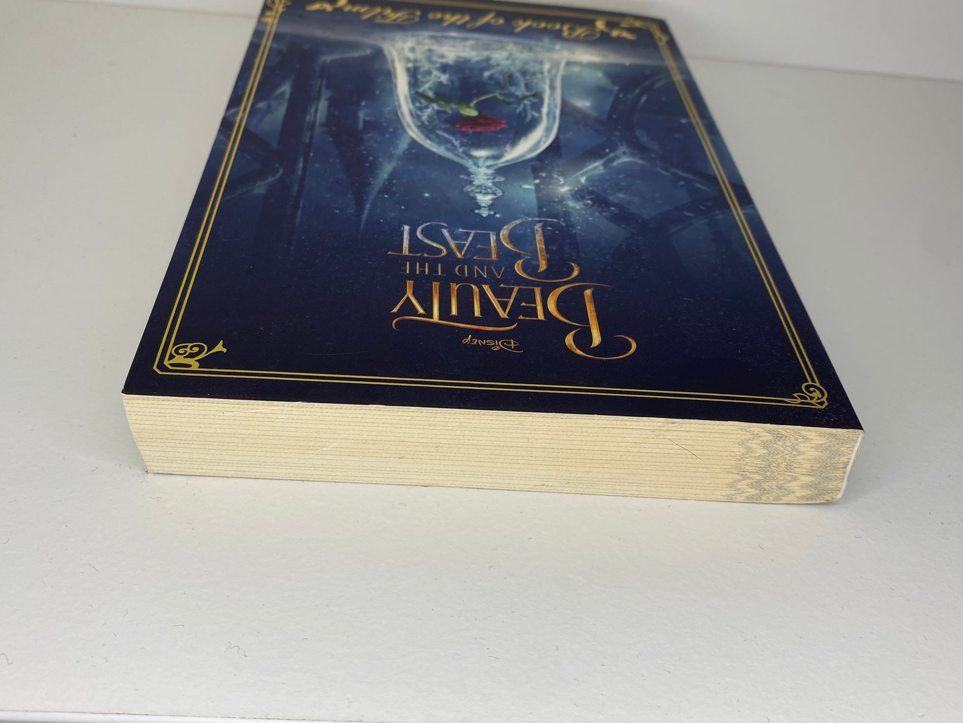 Beauty and the Beast, book of the film, adapted by  Elizabeth Rudnik, ISBN: 9781474852470 top