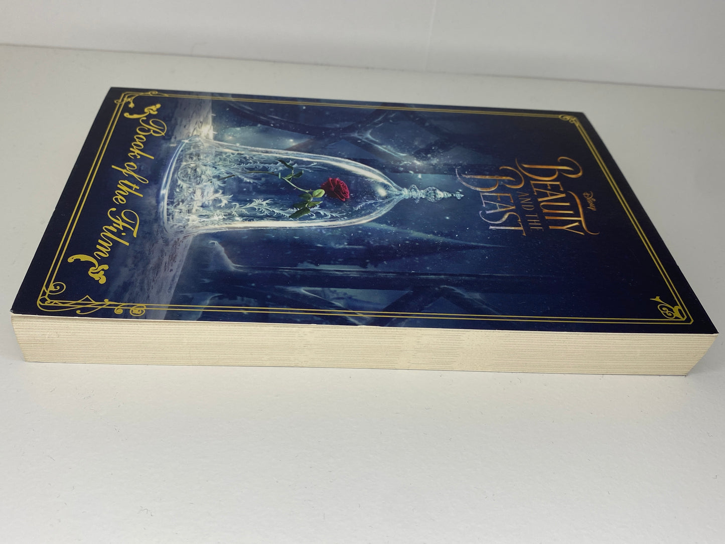 Beauty and the Beast, book of the film, adapted by  Elizabeth Rudnik, ISBN: 9781474852470 side view