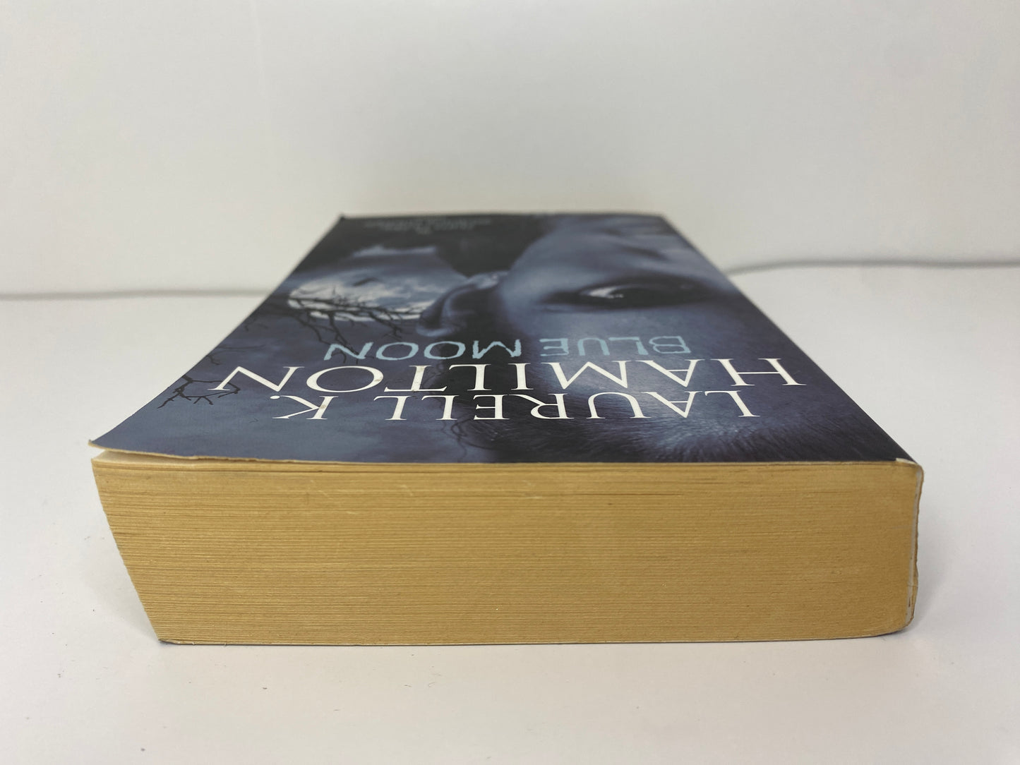 Blue Moon by Laurell K. Hamilton, book 8 in the Anita Blake Vamire Hunter series ISBN: 9781841490533, bovenkant