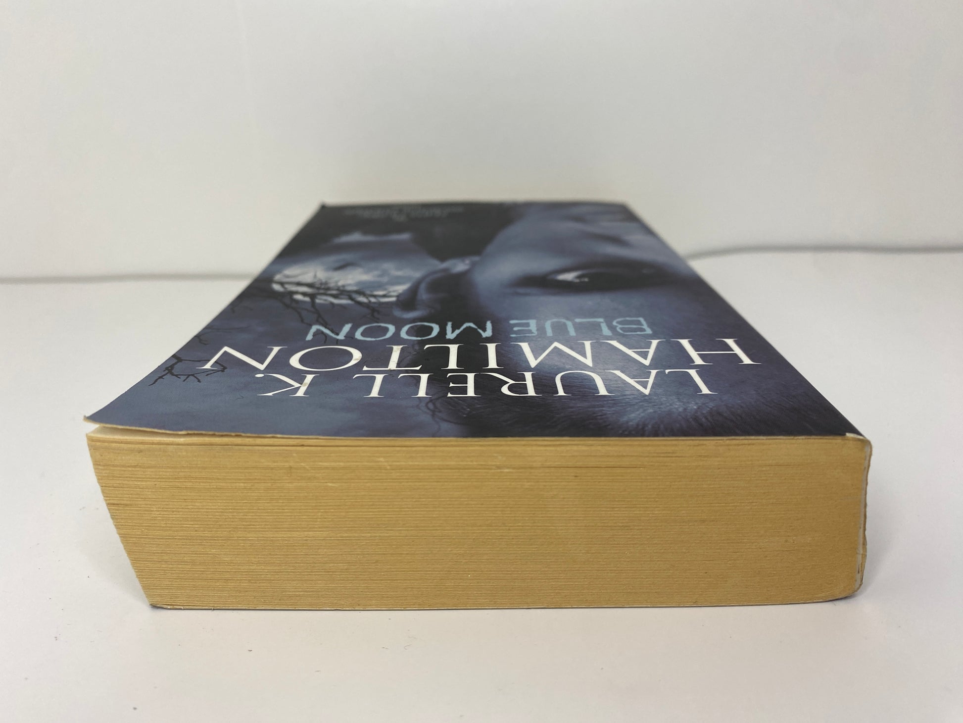 Blue Moon by Laurell K. Hamilton, book 8 in the Anita Blake Vamire Hunter series ISBN: 9781841490533, bovenkant