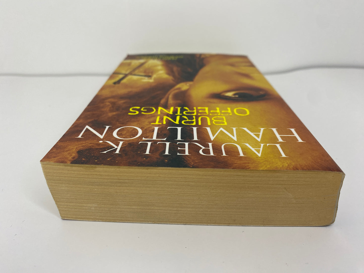 Burnt Offerings by Laurell K. Hamilton, book 7 in the Anita Blake, Vampire Hunter series, ISBN: 9781841490526, bovenkant