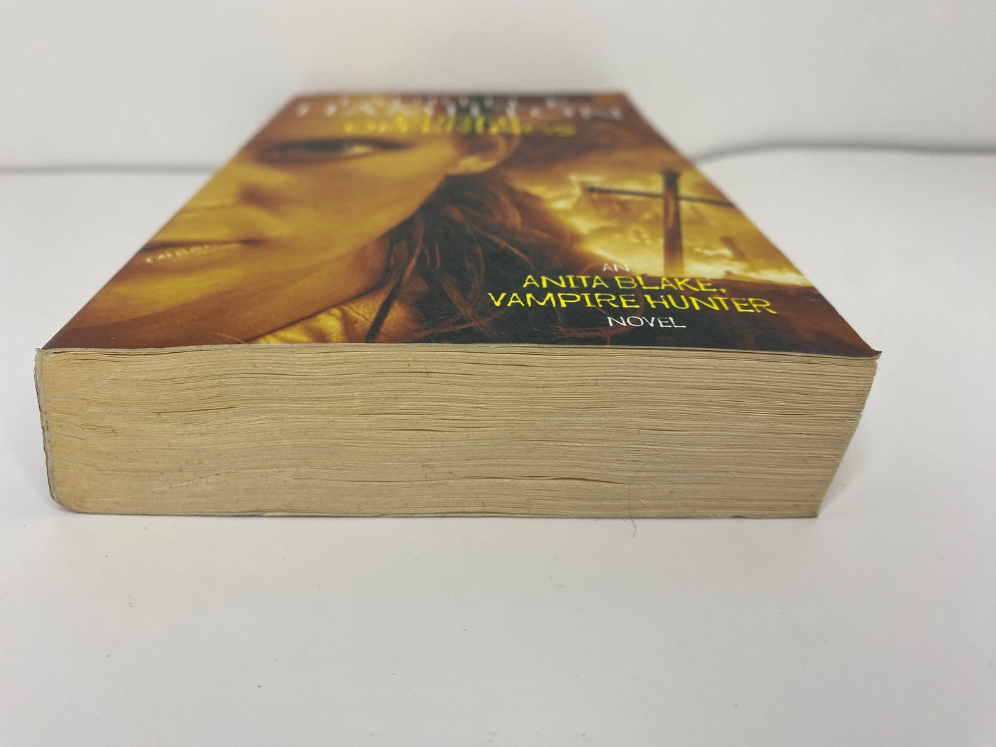 Burnt Offerings by Laurell K. Hamilton, book 7 in the Anita Blake, Vampire Hunter series, ISBN: 9781841490526, onderkant