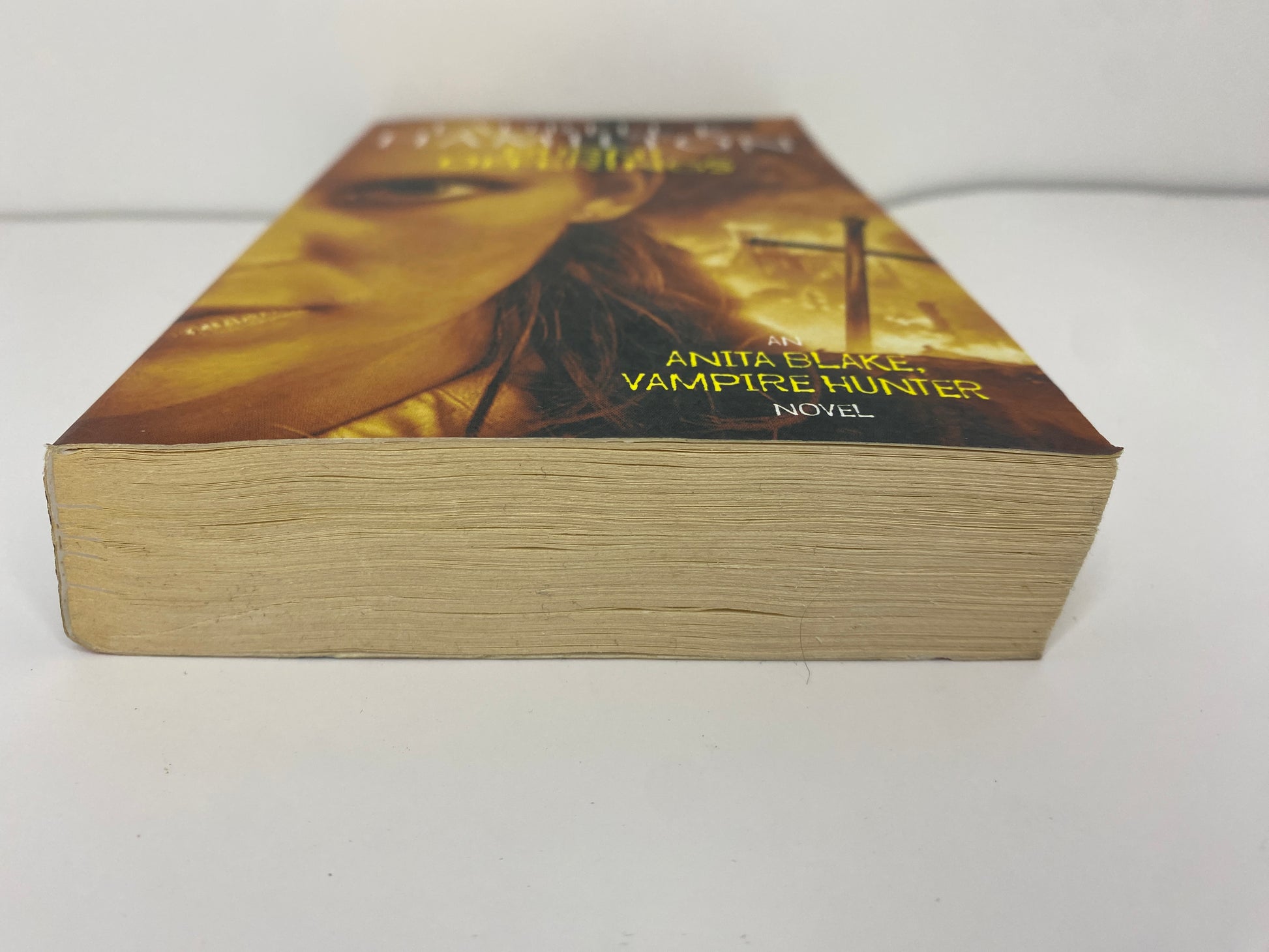 Burnt Offerings by Laurell K. Hamilton, book 7 in the Anita Blake, Vampire Hunter series, ISBN: 9781841490526, onderkant