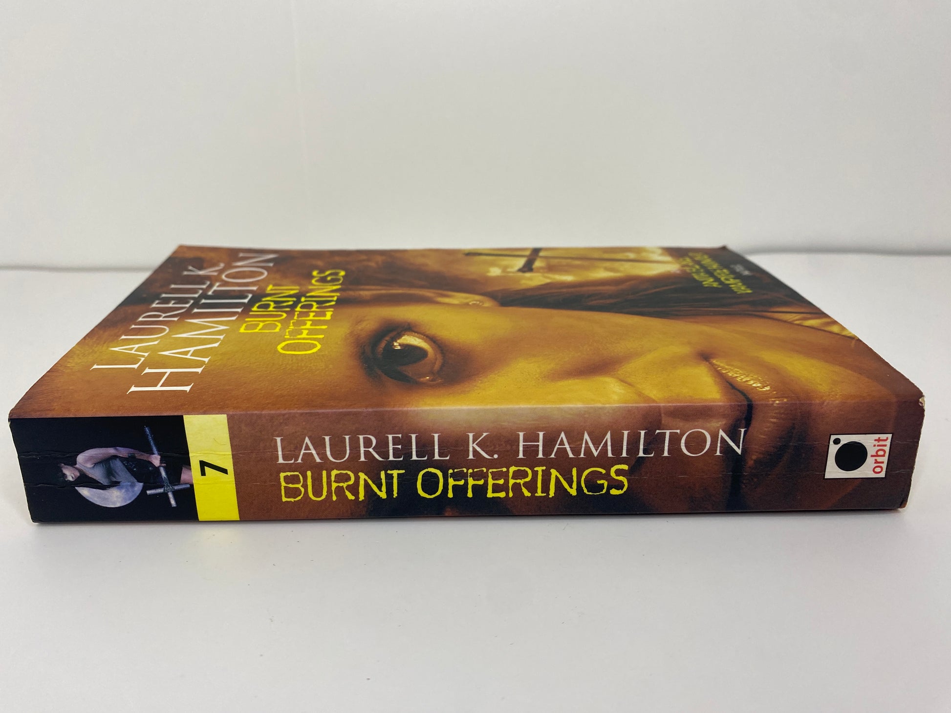 Burnt Offerings by Laurell K. Hamilton, book 7 in the Anita Blake, Vampire Hunter series, ISBN: 9781841490526, rug