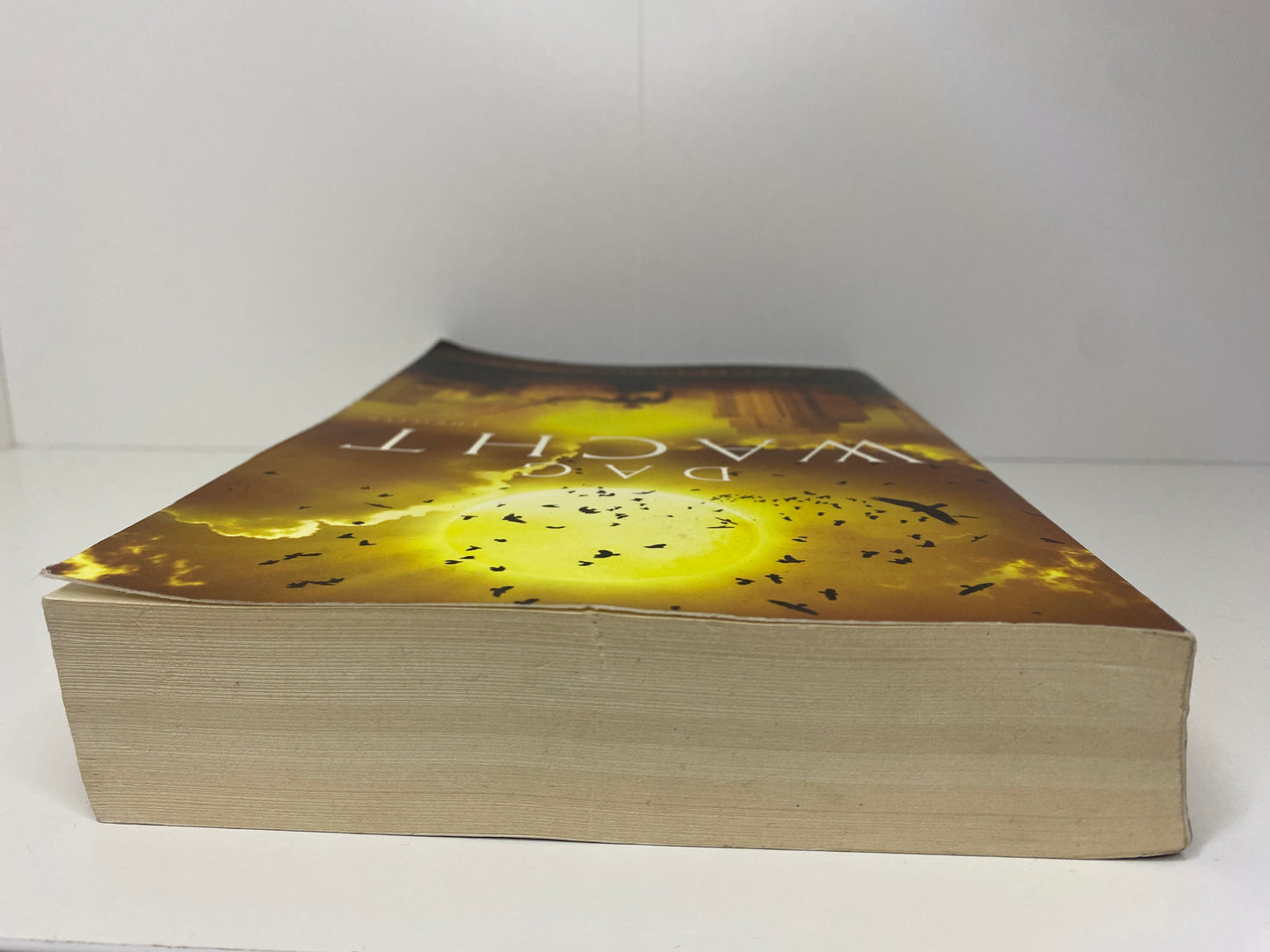 Dagwacht - NL - Sergej Lukjanenko - Paperback