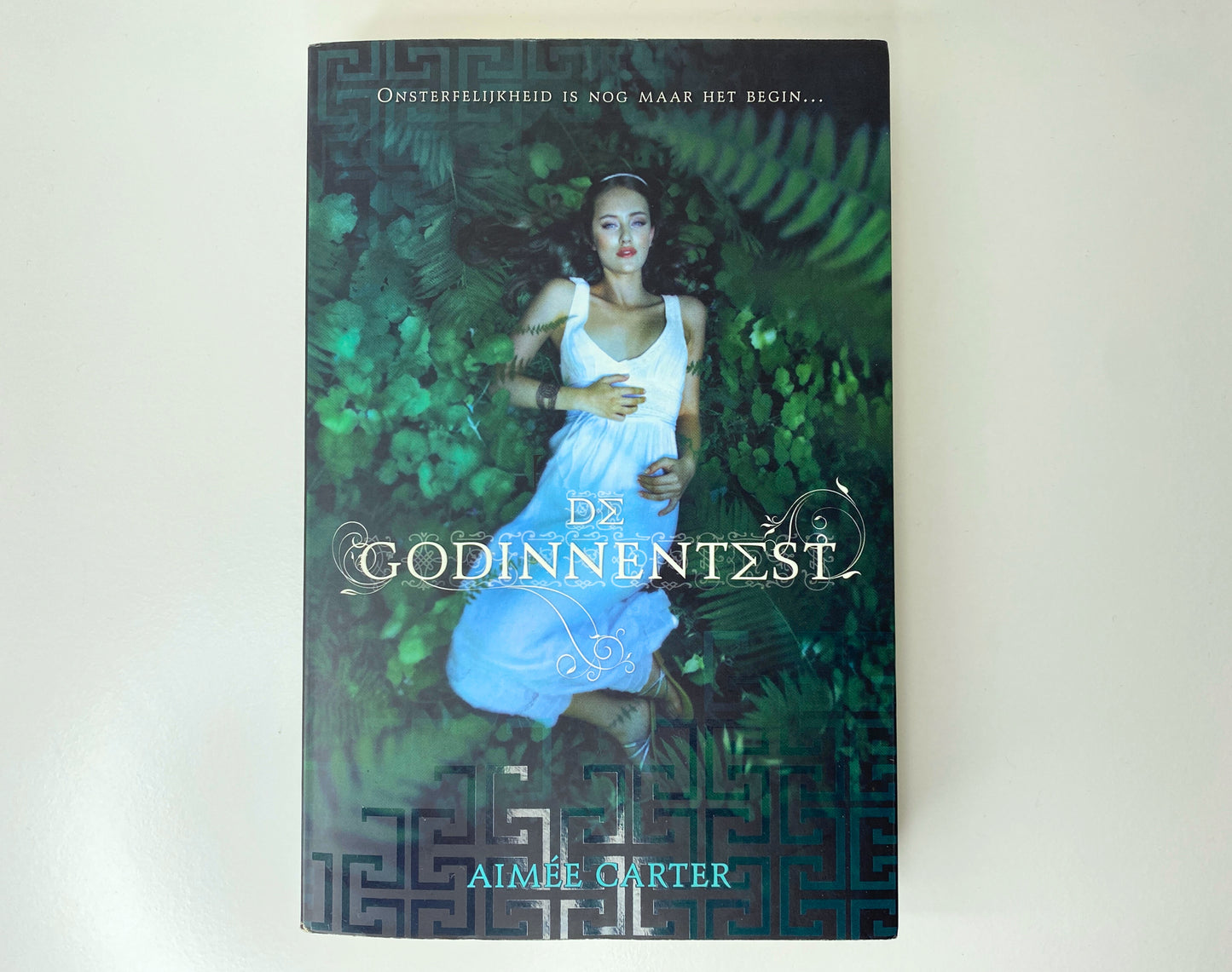 De Godinnentest - NL - Aimée Carter - Paperback