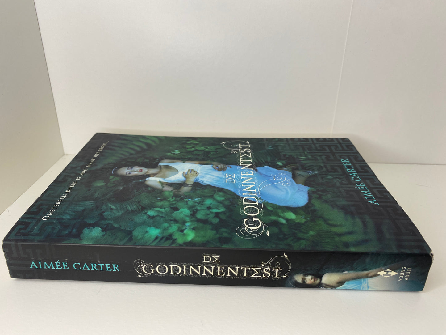 De Godinnentest - NL - Aimée Carter - Paperback