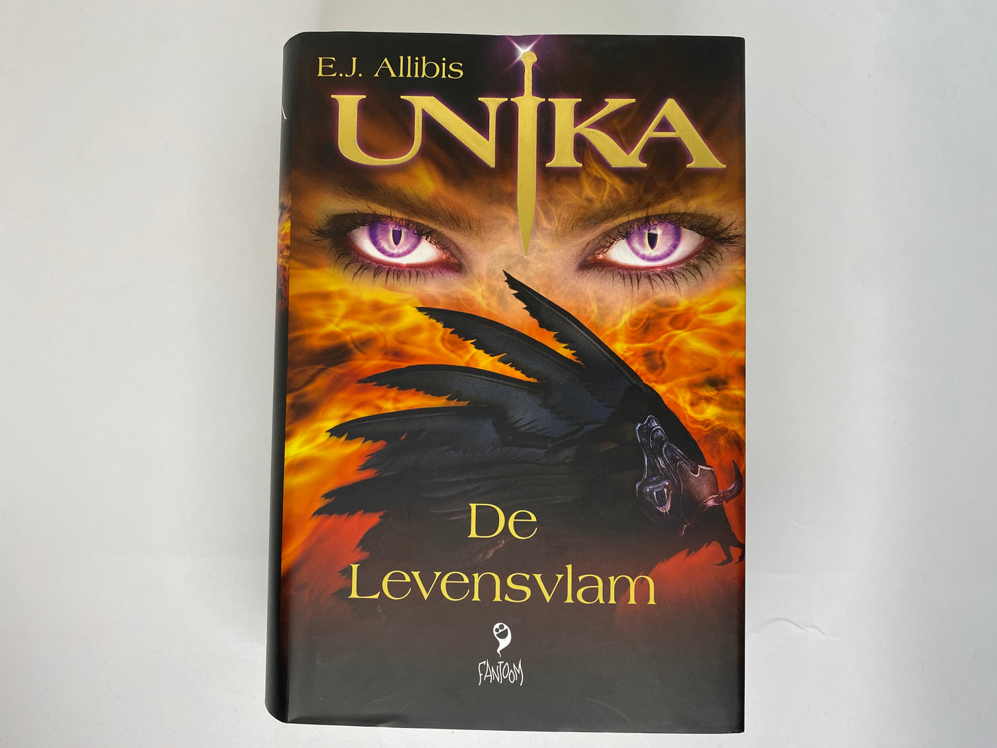 De Levensvlam van  E.J. Allibis ISBN: 9789078345695, voorkant