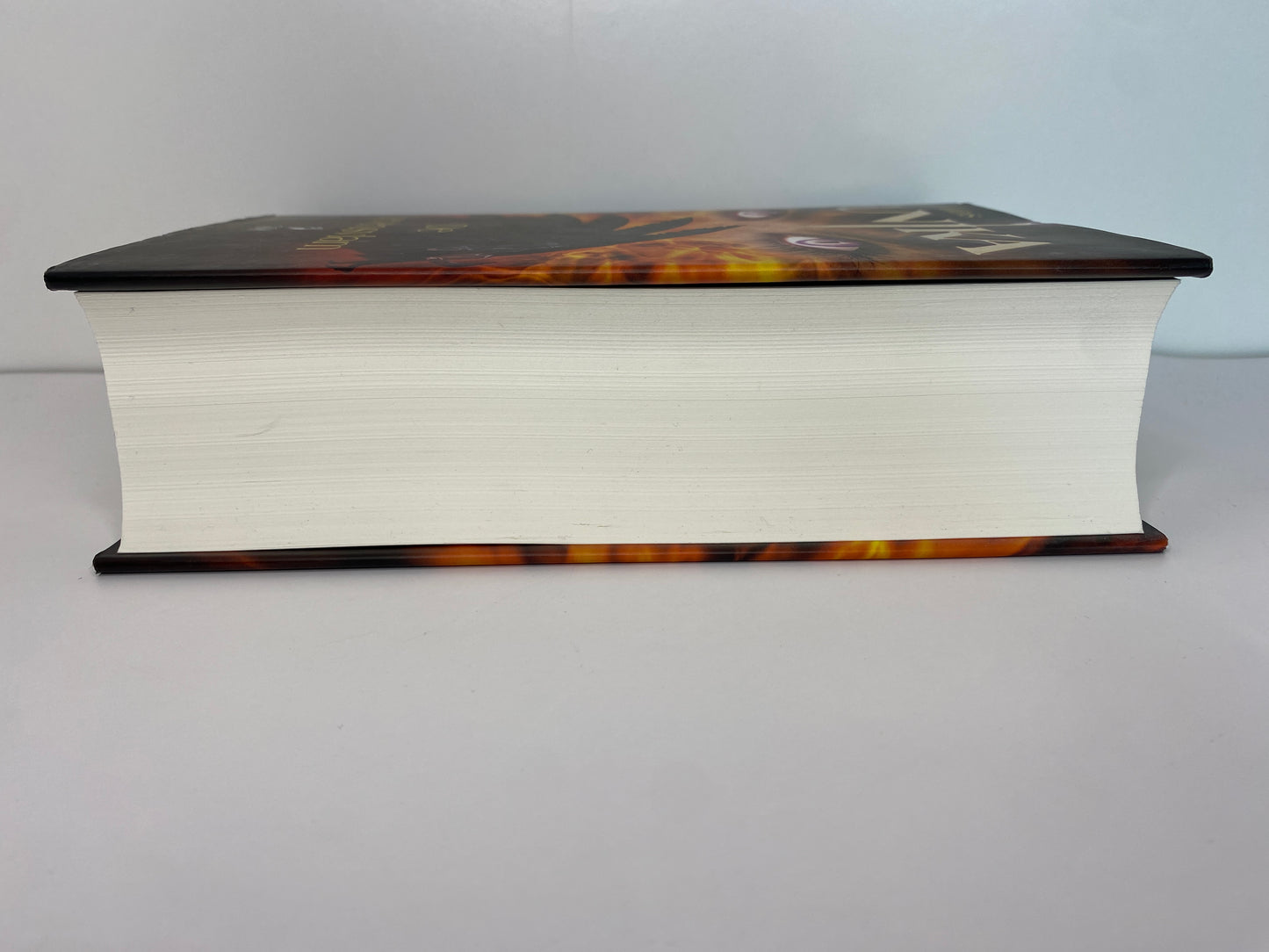 De Levensvlam van  E.J. Allibis ISBN: 9789078345695, zijkant