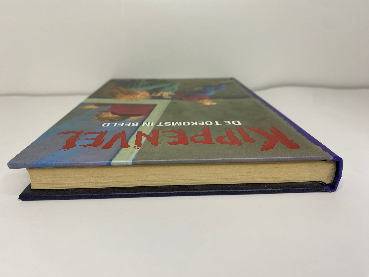 De Toekomst In Beeld - NL - R.L. Stine - Hardcover