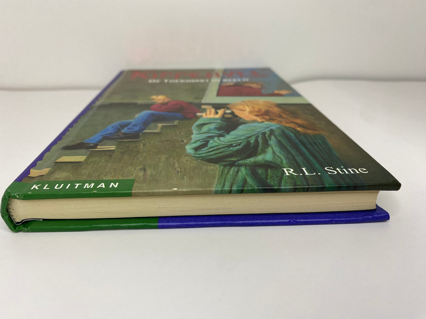 De Toekomst In Beeld - NL - R.L. Stine - Hardcover