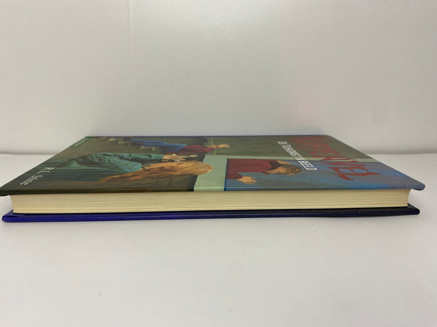 De Toekomst In Beeld - NL - R.L. Stine - Hardcover