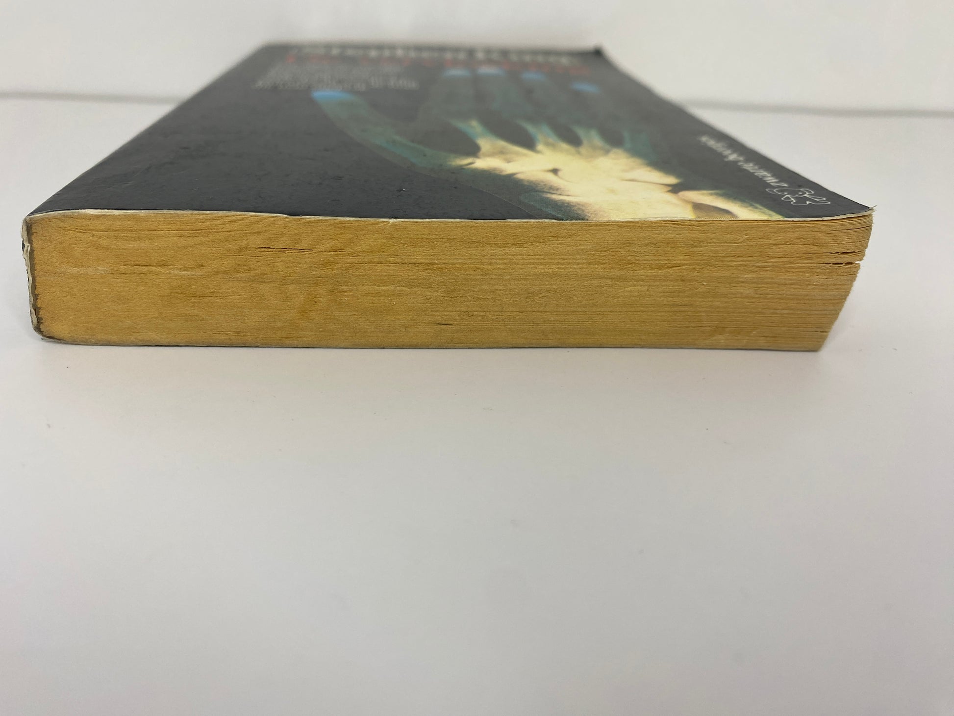 De Vervloeking van Stephen King, ISBN: 9789044923605, onderkant