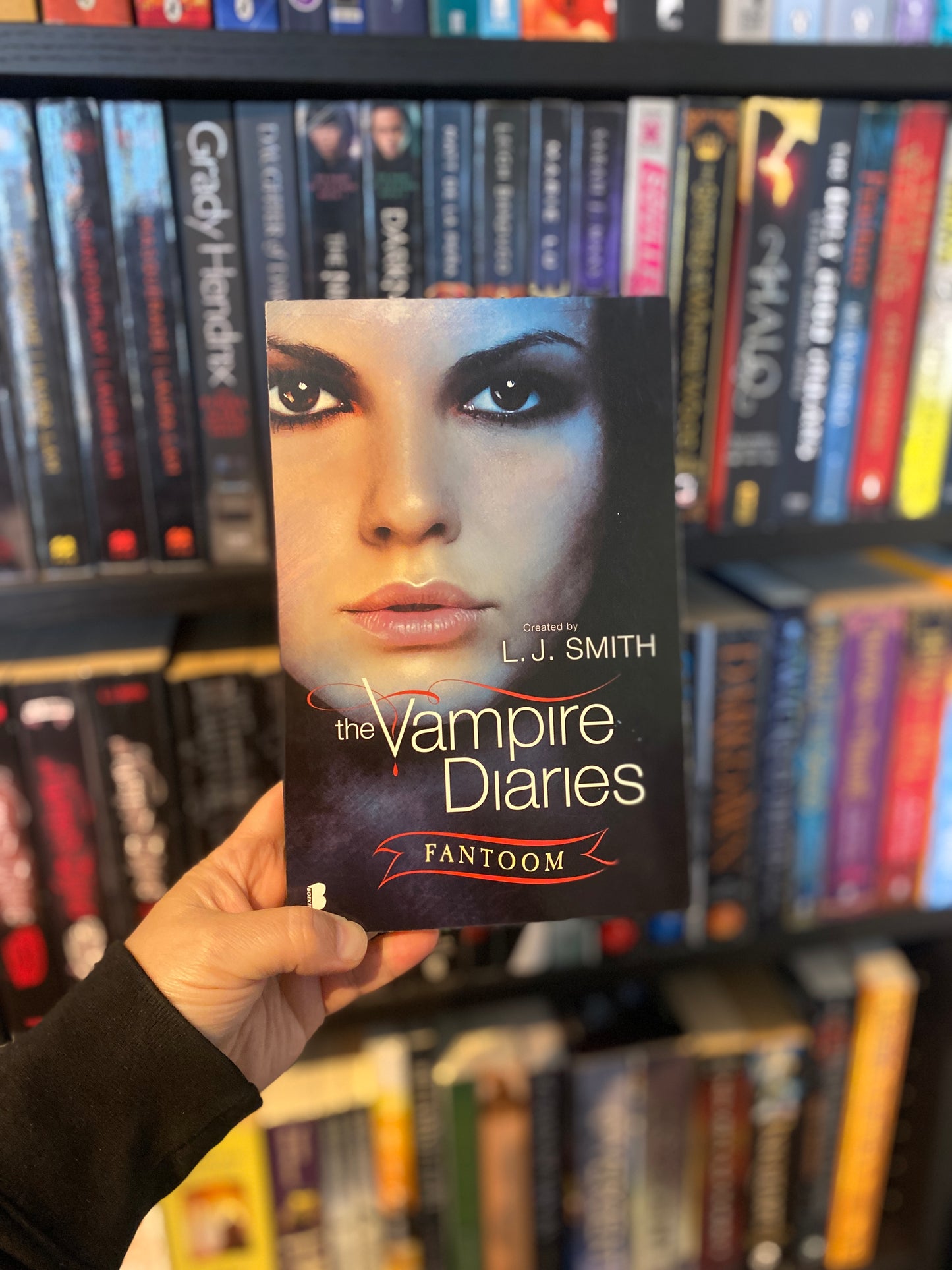 Fantoom van L.J. Smith, boek 8 in The Vampire Diaries series, sfeerbeeld