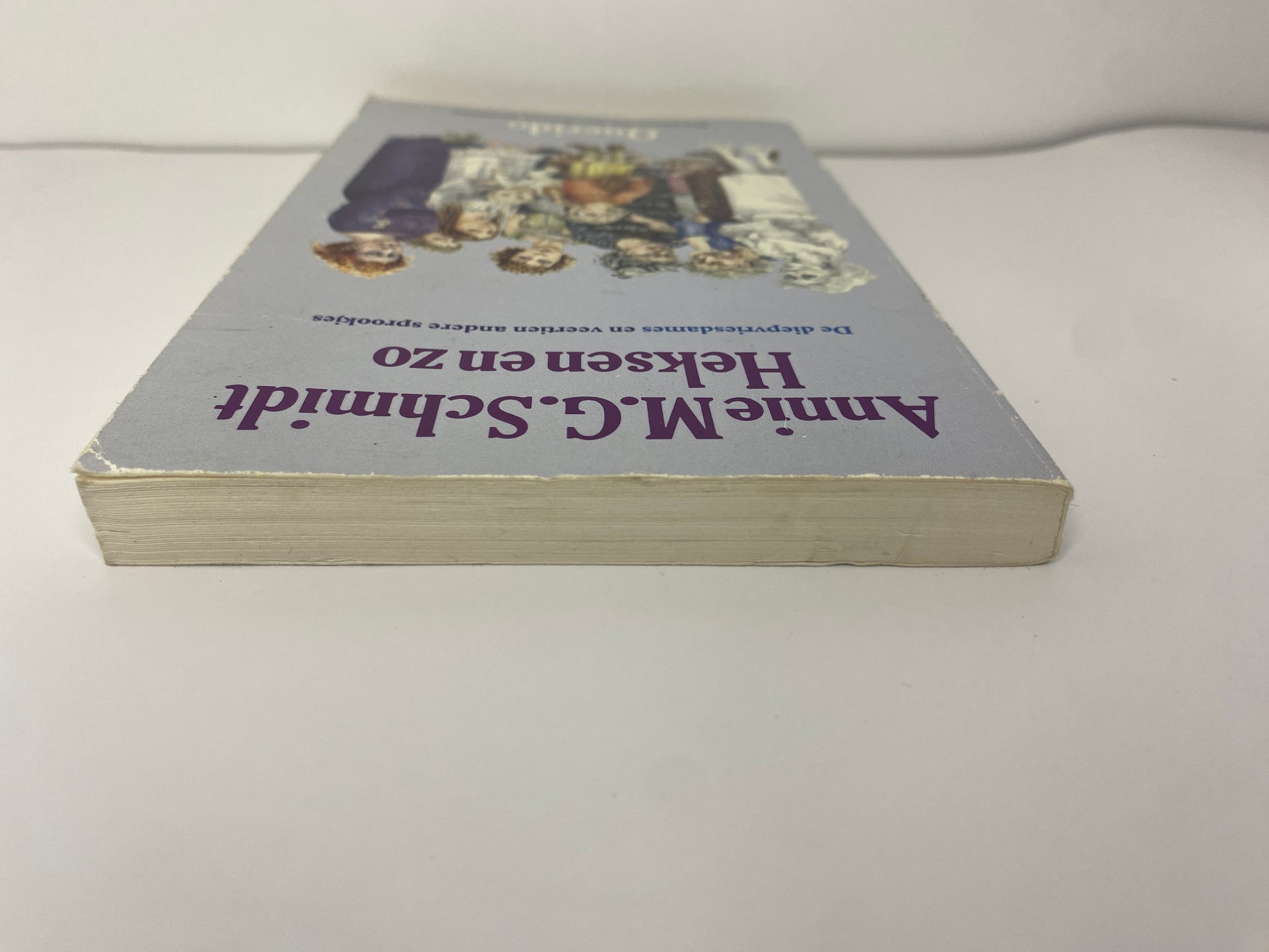 Heksen en zo  van Annie M.G. Schmidt, ISBN: 9021431408, bovenkant