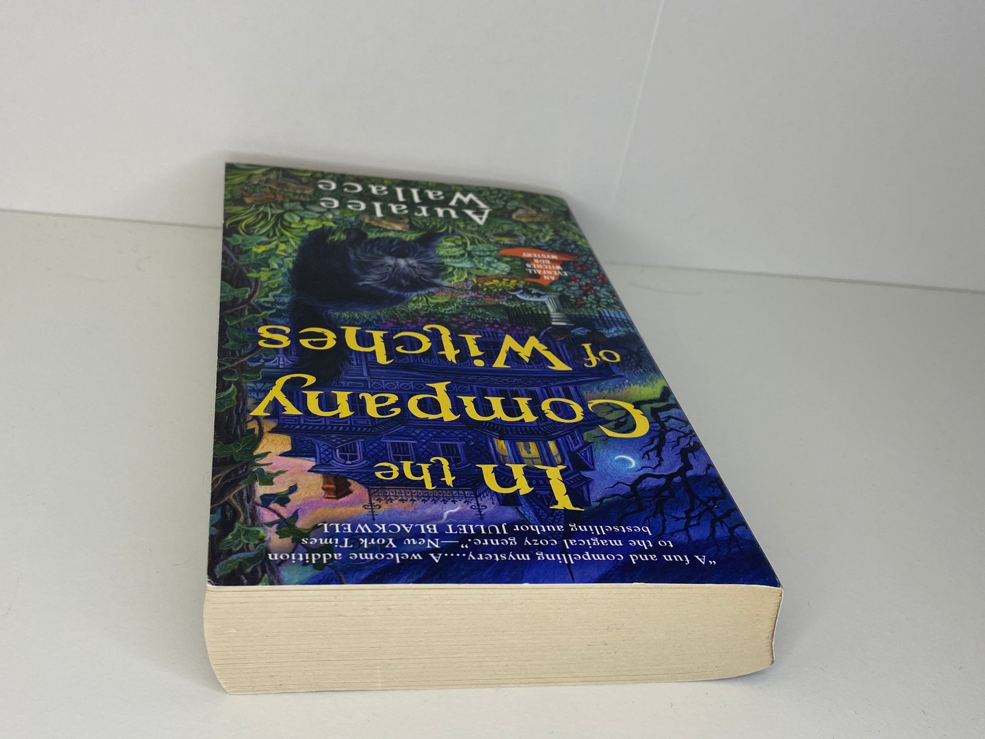 In the Company of Witches by Auralee Wallace, book 1 in the Evenfall Witches B&B series, ISBN: 9780593335833 top