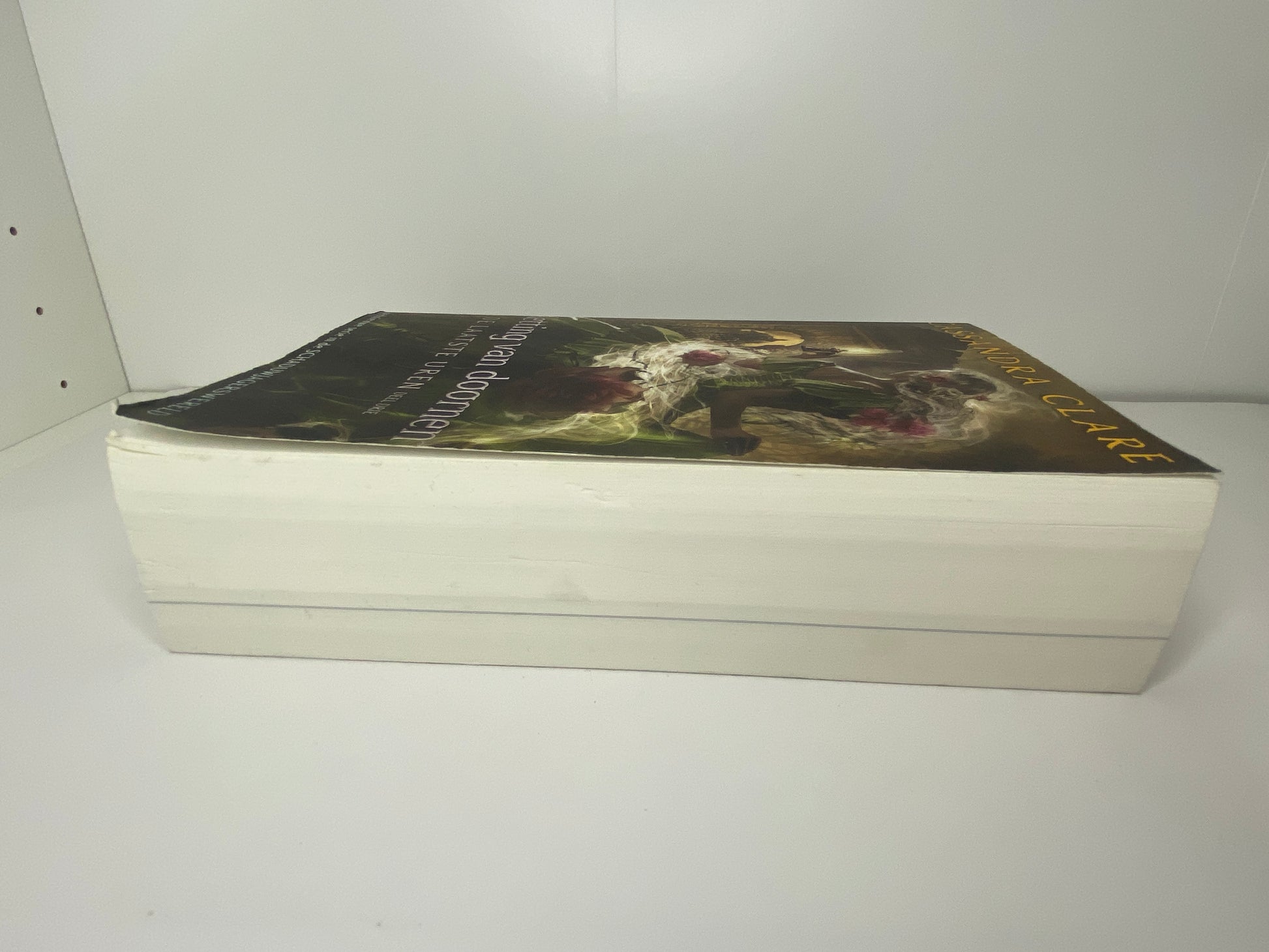 Ketting van Doornen, boek 3 in De Laatste Uren van Cassandra Clare, ISBN 9789021041384 zijkant