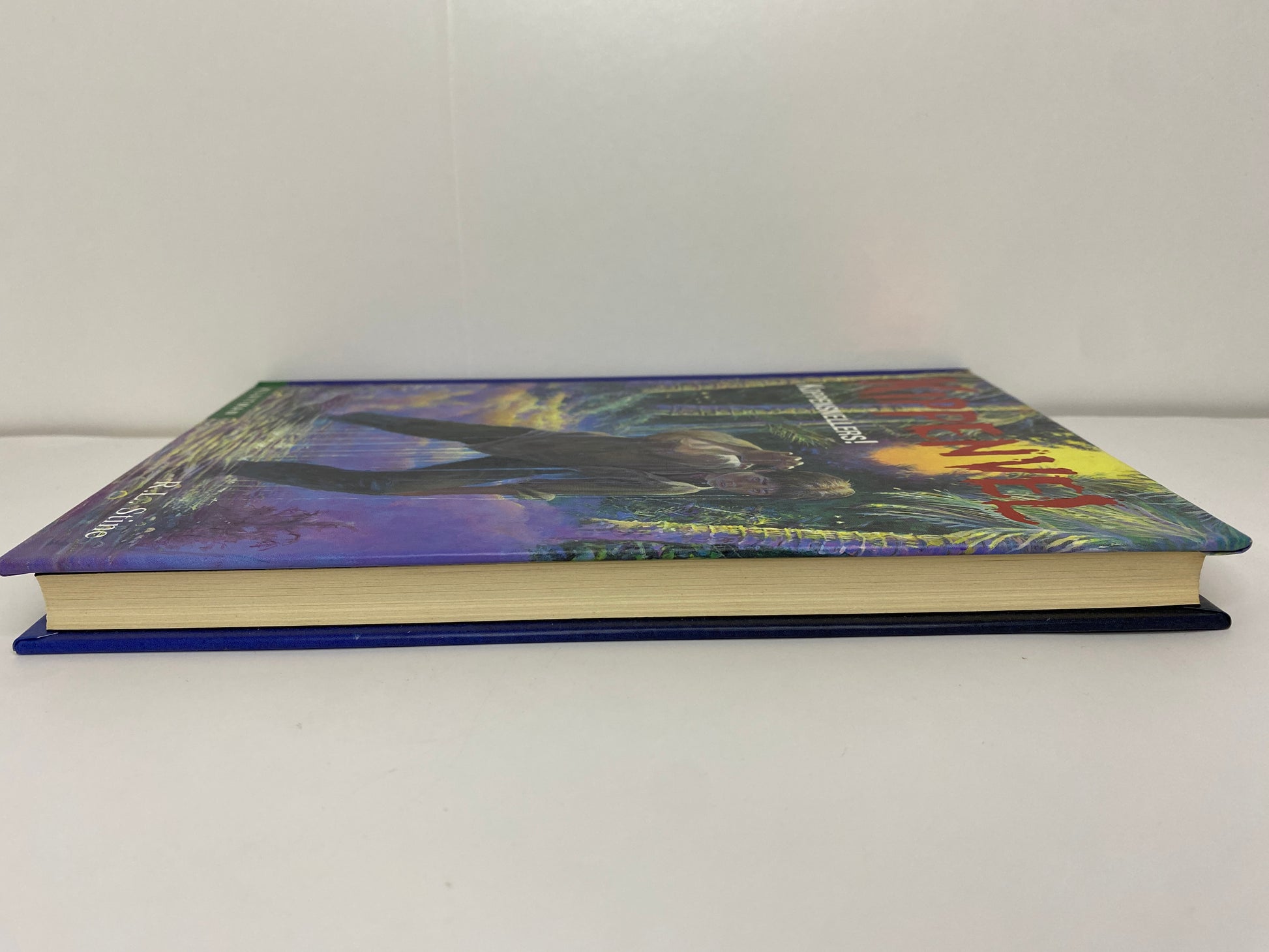 Koppensnellers! van R.L. Stine, boek 22 in de Kippenvel, ISBN: 9789020623345 zijkant