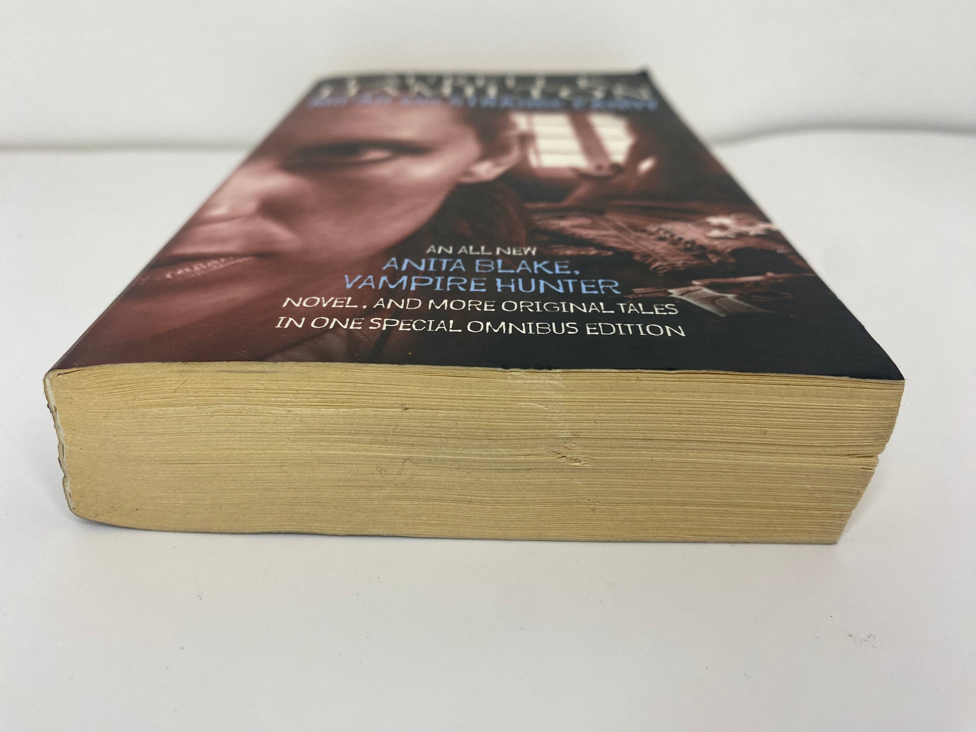 Micah and Stange Candy by Laurell K. Hamilton, book 13 and 0.5 in the Anita Blake, Vampire Hunter series, ISBN: 9781841496023, onderkant