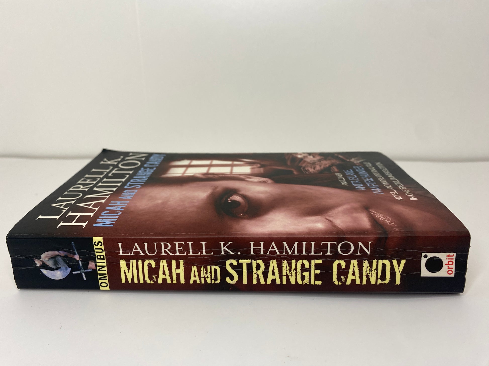 Micah and Stange Candy by Laurell K. Hamilton, book 13 and 0.5 in the Anita Blake, Vampire Hunter series, ISBN: 9781841496023, rug