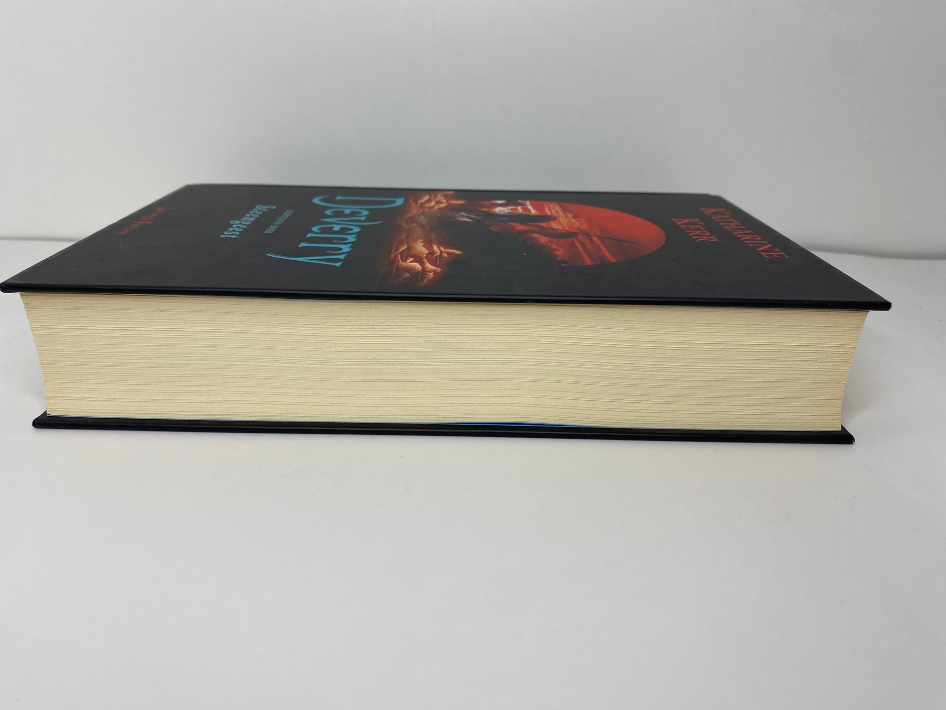 Steengeest van Katharine Kerr boek 13 in Deverry, ISBN: 9789024530830, zijkant