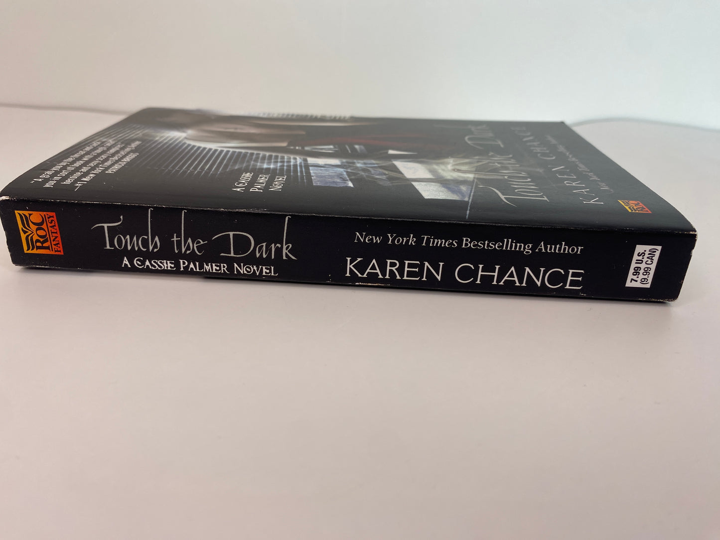 Touch The Dark by Karen Chance, book 1 in the Cassandra Palmer series, ISBN: 9780451460936 rug spine