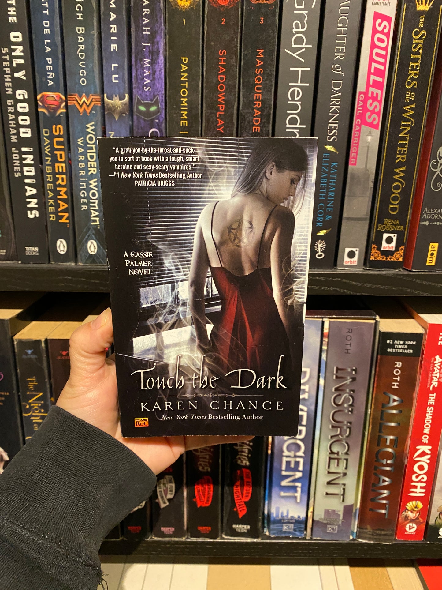 Touch The Dark by Karen Chance, book 1 in the Cassandra Palmer series, ISBN: 9780451460936 sfeerbeeld