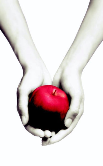 Twilight van Stephenie Meyer, boek 1 in de Twilight Saga, ISBN: 9789022559888