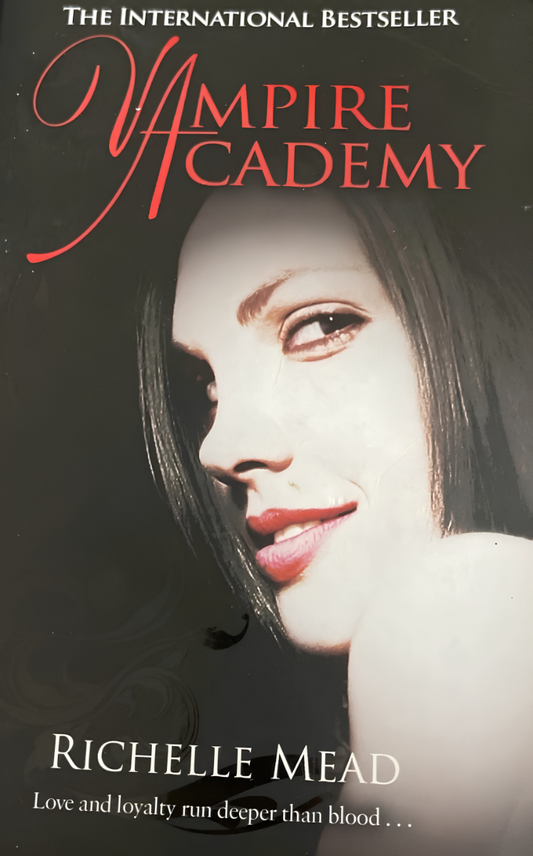 Vampire Academy by Richelle Mead book 1 in the Vampire Academy series, ISBN: 9780141328522